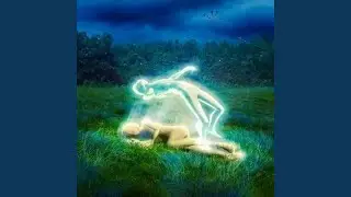 Melancholy on Silent Winds