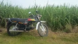 MAIN KE SAWAH PAKAI MOTOR WIN100 KIRA KIRA DAPAT APA AJA