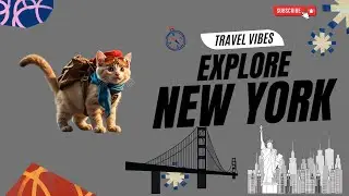 A Cat&rsquo;s Travel Dream: Exploring New York!🐱🗽