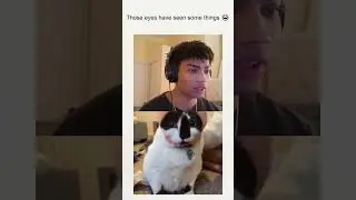 Она чувствовала себя красивой 😂❤️