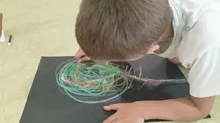 Brincar com ramos de árvore