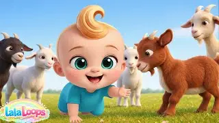 Top Songs Compilation Nursery Rhymes  Baby Songs  | Lala Loops Nursery Rhymes & Baby Songs