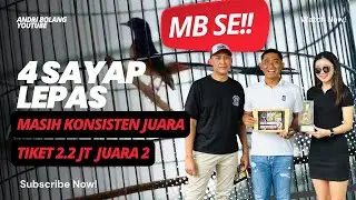 MB SINGO EDAN 4 Sayap Rontok Bukan Halangan, Performa Tetap Juara || KOPDAR SKN XXVII SIDOARJO