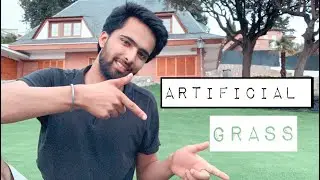 Custom garden in home 🏡