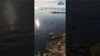 Старая крепость на Корфу, Греция