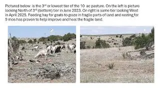 WSARE FW22-403 -  Kidding Goats in Multispecies grazing  - Objective 4   pasture management 2025