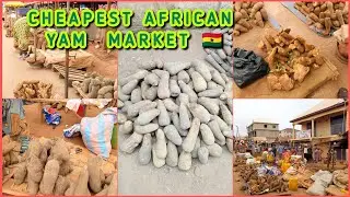 A TYPICAL AFRICAN YAM MARKET IN WEST AFRICA ||TECHIMAN 🇬🇭 YAM MARKET #goviral #trending #africa 