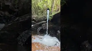 Me Atraiu... 🌿 | Parque Nacional do Capara&oacute;