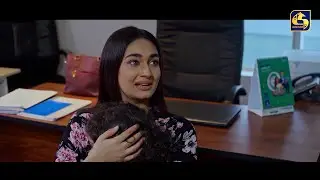 බබ්බු නළවලා වැඩ වරදියි