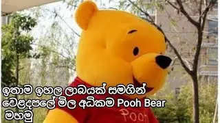 New Package 2nd bear | Pooh bear (L) | dinu creations