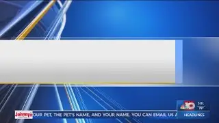 NBC 10 News at 5: Youth Intern Program