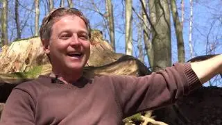 Natur-Kraftplatz #1 Lichtenklingen im Odenwald