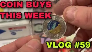 COINS | COIN BUYS FOR THE WEEK VLOG #59