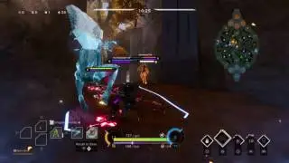 Paragon Zinx EPIC STUN