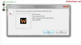 Set C#.Net Program Version
