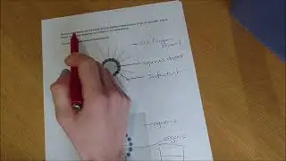 microemulsions