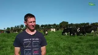 Adrian Keane - Teagasc/ Kerry Agribusiness Monitor Farmer