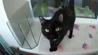 sjcam sj4000 wifi 1080р 30 fps WDR вкл FOW широкий