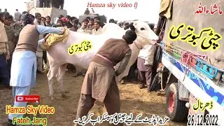 Jalsa Dhurnal | Hamza Sky video ڈھرنال جلسہ 26.12.2022