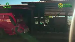 🎋Lance no Campo: rob&ocirc; faz ordenha 24 horas por dia em propriedade de Seara