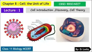 Cell Introduction - Chapter 8 Cell : The Unit of Life Class 11 Biology - NCERT  CBSE/RBSE - Part 1
