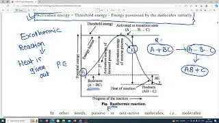 YCMOU - ORGANIC REACTION MECHANISM - ACTIVATION ENERGY