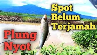 Spot TERABAIKAN banyak DORPRIZE//Mancing Wader ijo KALI TORONG//Mbah Omi Fishing.