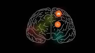 How to use Unconscious Bias Training For Students - understanding unconscious bias video