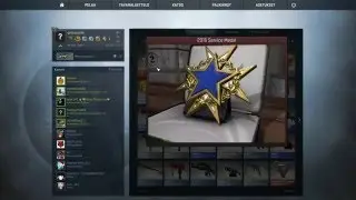 CSGO - 2015 Service Medal