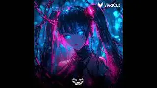 FUNKIT - Bass Max