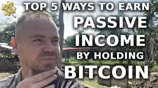 Top 5 Ways to Earn Passive Income by Holding Bitcoin | BTCFi