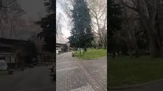 i&ccedil; sesim 😢😭