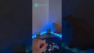 Poly maker Pokemon 3D Printed Art
