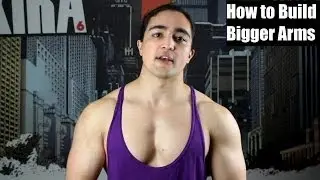 HOW I Plan to Build BIGGER ARMS (Bicep/Tricep Hypertrophy)