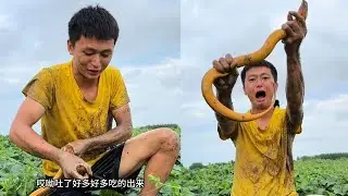 粉絲在他自家的魚苗塘，下了四個籠子，抓了4條鳝魚#fishing #咱村小结巴 #搞笑 #农村生活 #food