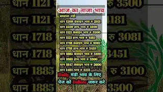 Barwala mandi bhav today #mandibhav #paddyratetoday #mandibhavtoday #anajmandibhav #agriculture