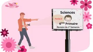 Révision complète de sciences – 6ème primaire | 1er semestre (Écoles françaises) - Partie 2
