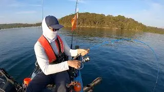 5 Jewfish (Mulloway) caught fishing in Sydney Harbour 15th October 2020