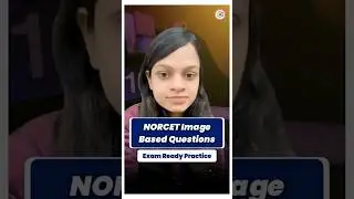 Image-Based Nursing Preparation Book | Mission NORCET iBQs (Image-Based Questions) #ibqs
