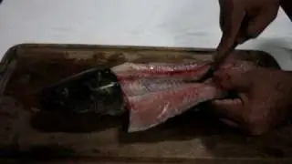 Pesca de Traíra : tirando filé