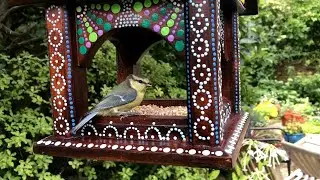 Beautiful, bright, bird feeders