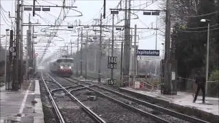 E.646 + E.646 - Le Signore in grigio/verde