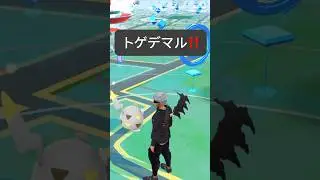 【ポケモンGO】トゲデマルが現れた!!【✨Togedemaru Pok&eacute;mon GO X Pokemon Card Artwalk✨】