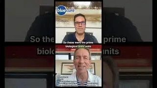 Eating more plant-based for improved sexual health? Dr. Aaron Spitz