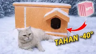 Aku Bikin Rumah Kucing Dari Insulasi Murah &mdash; Sekarang Kucingku Betah Banget