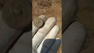 Found an old bronze coin with metal detector