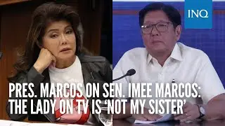 Pres. Marcos on Sen. Imee Marcos: The lady on TV is &lsquo;not my sister&rsquo;
