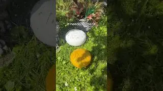 Soothing sounds 😌🌧️ #garden #instrument #rain #home #drum #nature