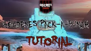 BO4: TAG DER TOTEN (DLC4) - GOLDENES PACK-A-PUNCH, STROM, SEILRUTSCHE | TUTORIAL [GERMAN/DEUTSCH]