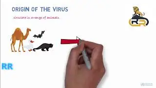 Novel coronavirus 2019 covid -19  details